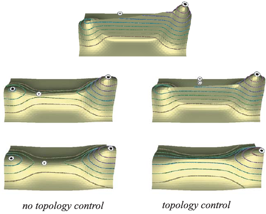 Surface evolution with and without topology control.